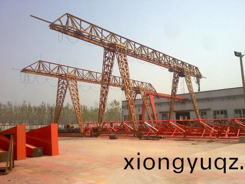 A型電(dian)動葫蘆門式(shi)起重機